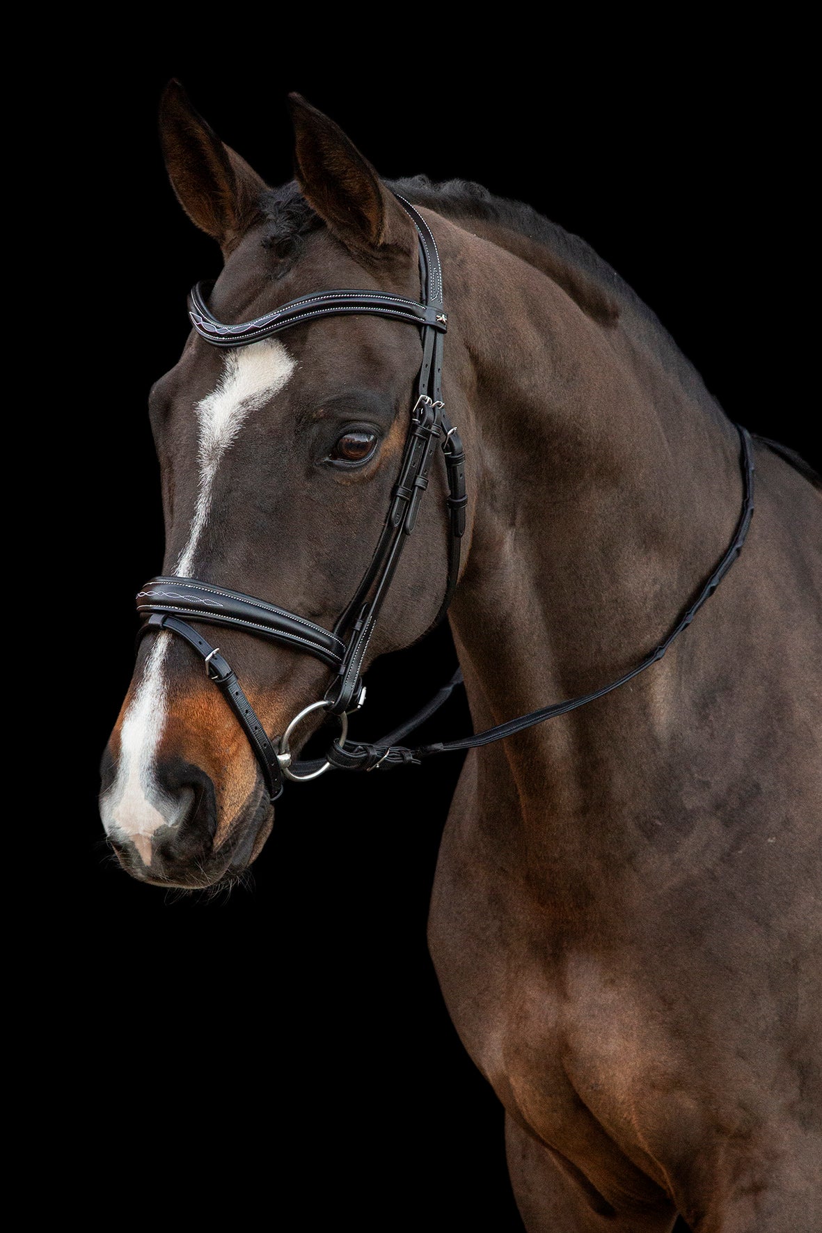 SCHOCKEMÖHLE SPORTS - MONZA F BRIDLE