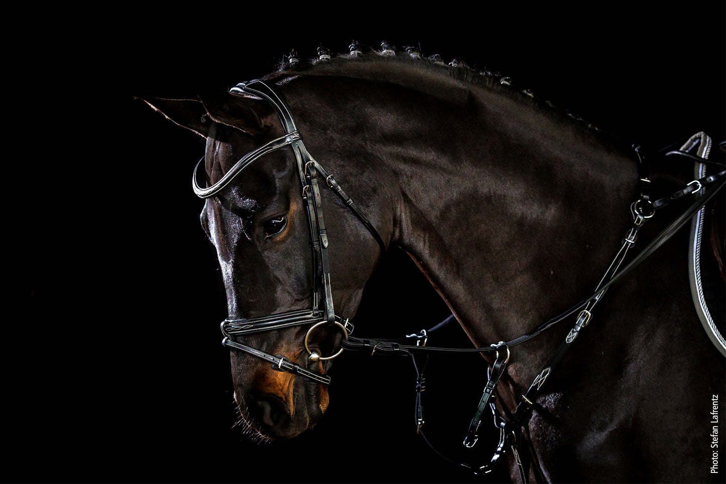 SCHOCKEMÖHLE SPORTS ANATOMIC BRIDLE - TOKYO SELECT