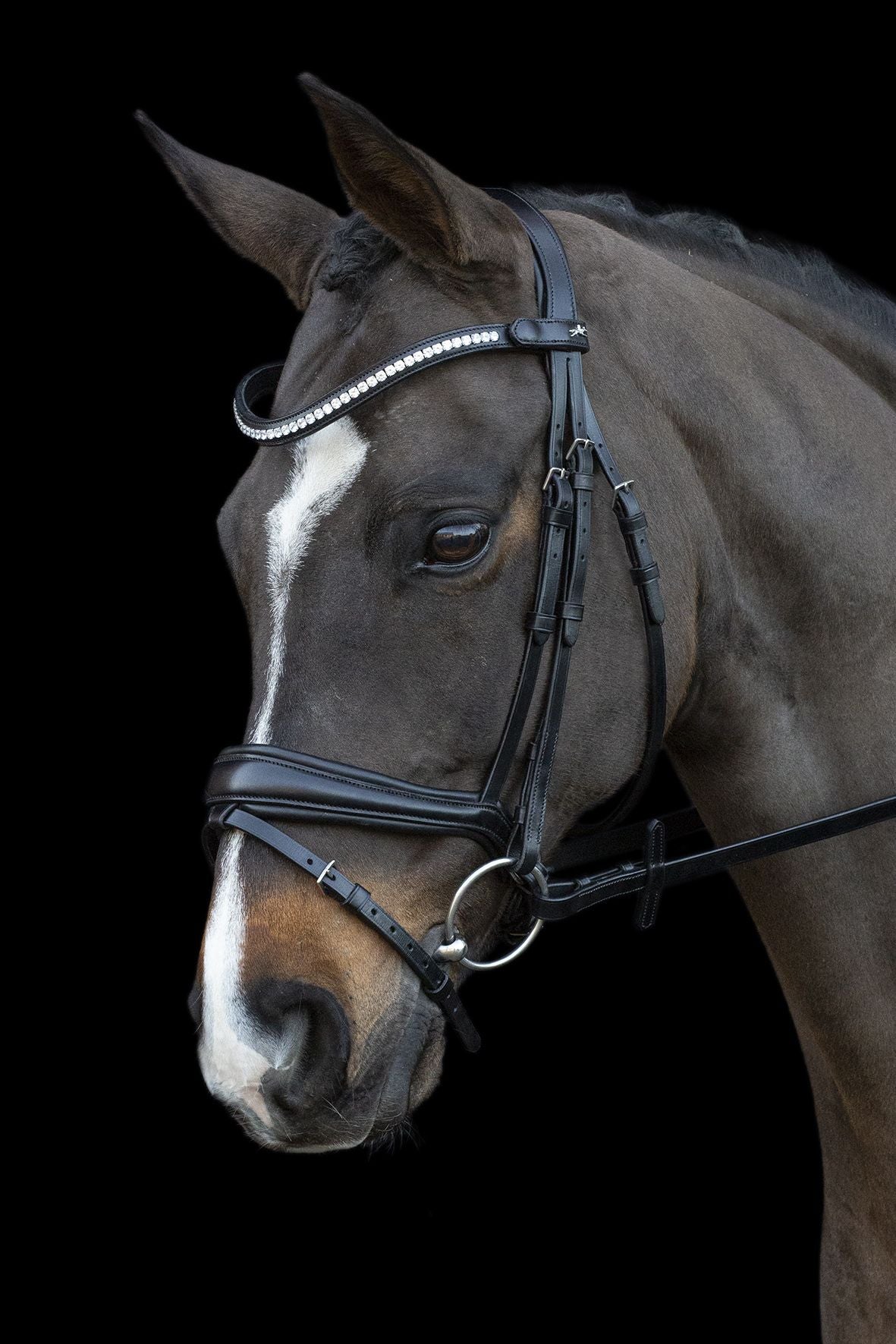 SCHOCKEMÖHLE SPORTS ANATOMIC BRIDLE - CHARLESTON