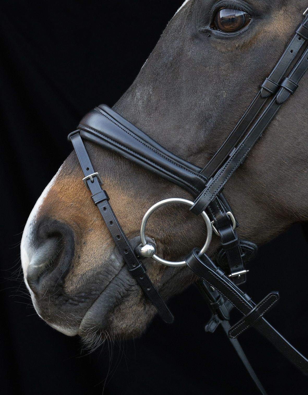 SCHOCKEMÖHLE SPORTS ANATOMIC BRIDLE - CHARLESTON