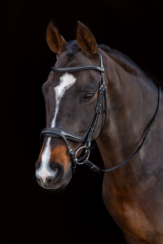 SCHOCKEMÖHLE SPORTS ANATOMIC BRIDLE - ANCONA SELECT