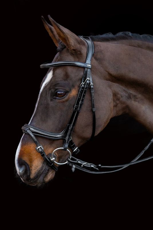 SCHOCKEMÖHLE SPORTS ANATOMIC BRIDLE - ANCONA SELECT