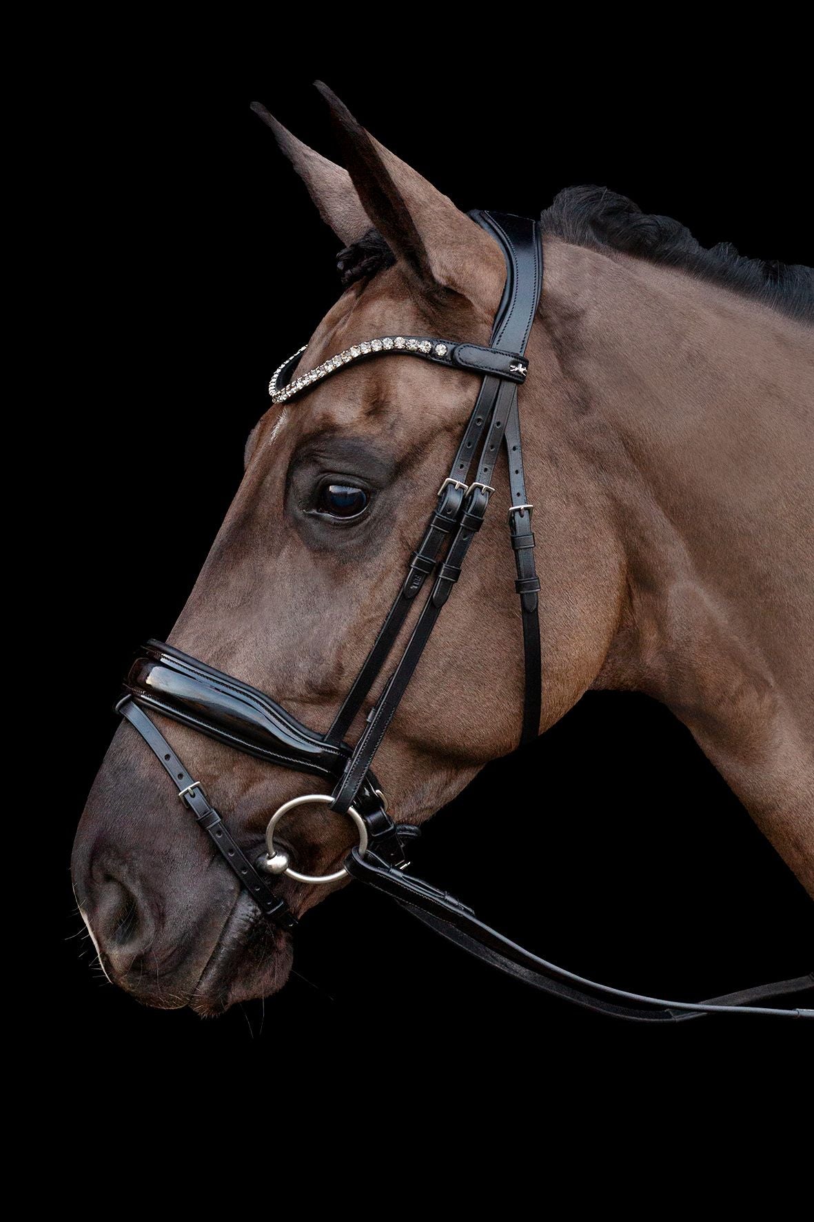 SCHOCKEMÖHLE SPORTS ANATOMIC BRIDLE - SIENA