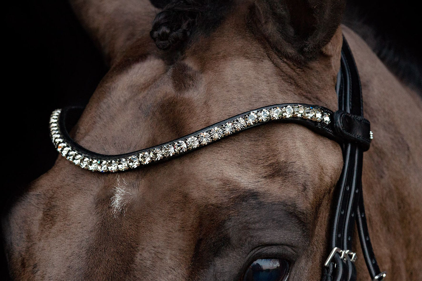 SCHOCKEMÖHLE SPORTS ANATOMIC BRIDLE - SIENA