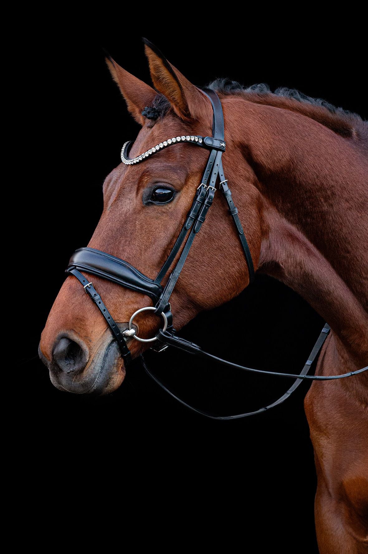 SCHOCKEMÖHLE SPORTS ANATOMIC BRIDLE - SIENA