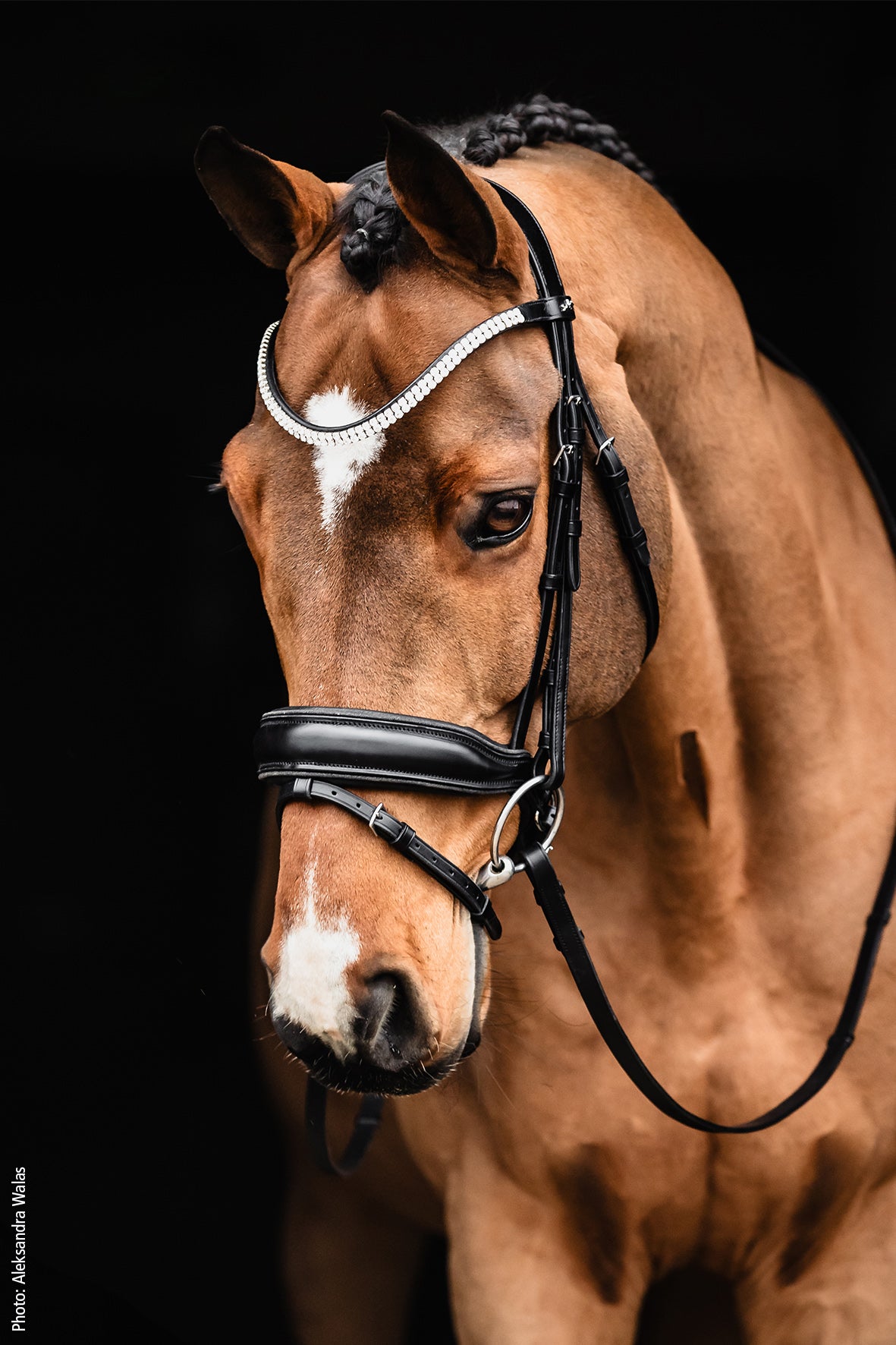 SCHOCKEMOHLE SPORTS ANATOMIC BRIDLE - VALENCIA