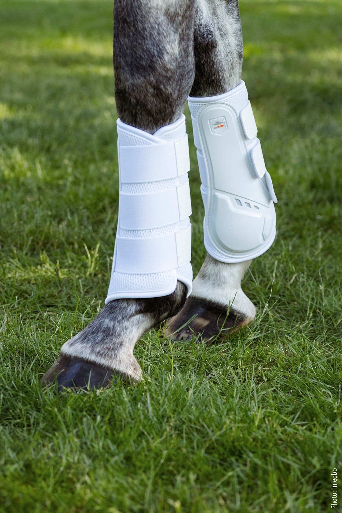 SCHOCKEMÖHLE AIR-FLOW TRAINING BOOTS
