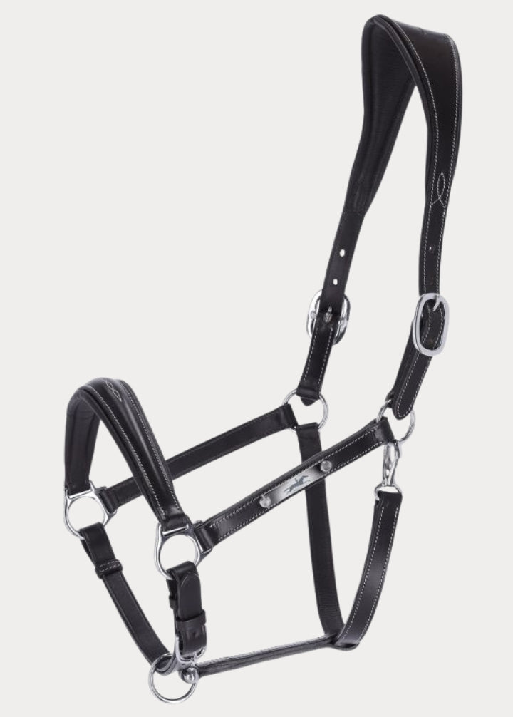 SCHOCKEMÖHLE SPORTS LEATHER HALTER – FRISCO F
