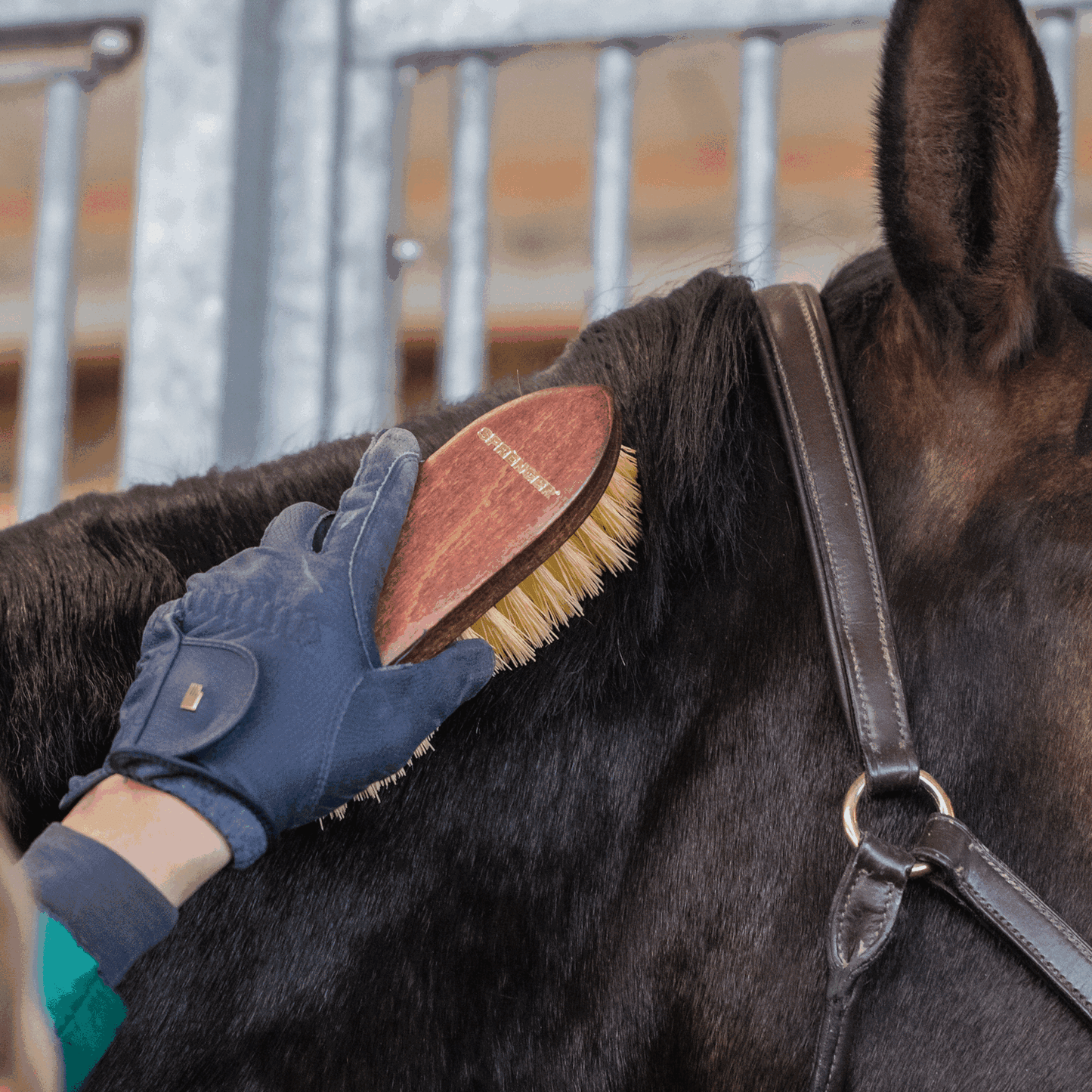 SPRENGER DANDY BRUSH