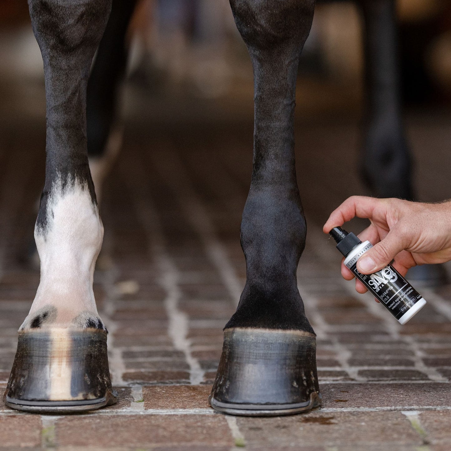 EQUIFIT AG-SILVER CLEAN SPRAY