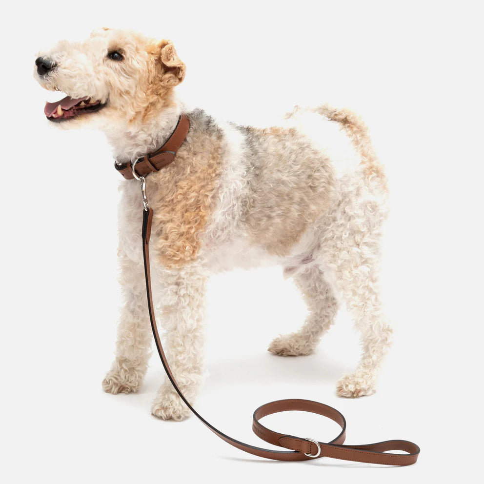 MUTTS & HOUNDS - TAN LEATHER DOG LEAD