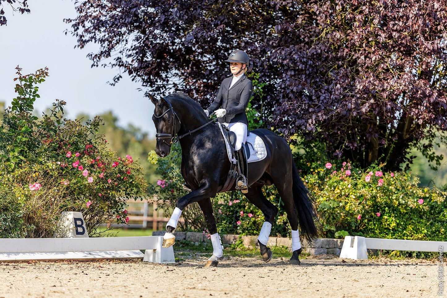 Schockemöhle Sports Alaine Competition Jacket