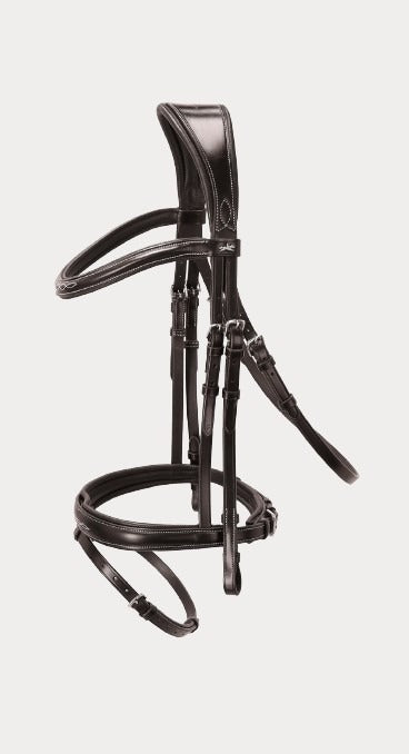 Brown bridle with fancy stitch