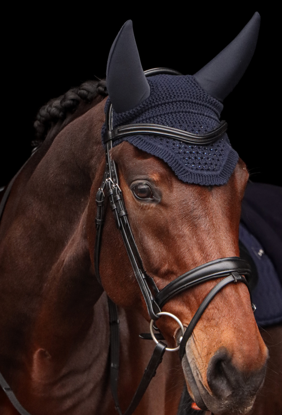 SCHOCKEMOHLE SPORTS FLY VEIL ELEGANT SPARKLE SILENT