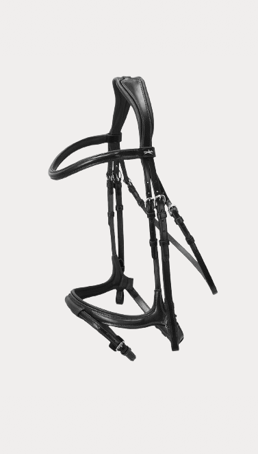 Bridle with lower noseband