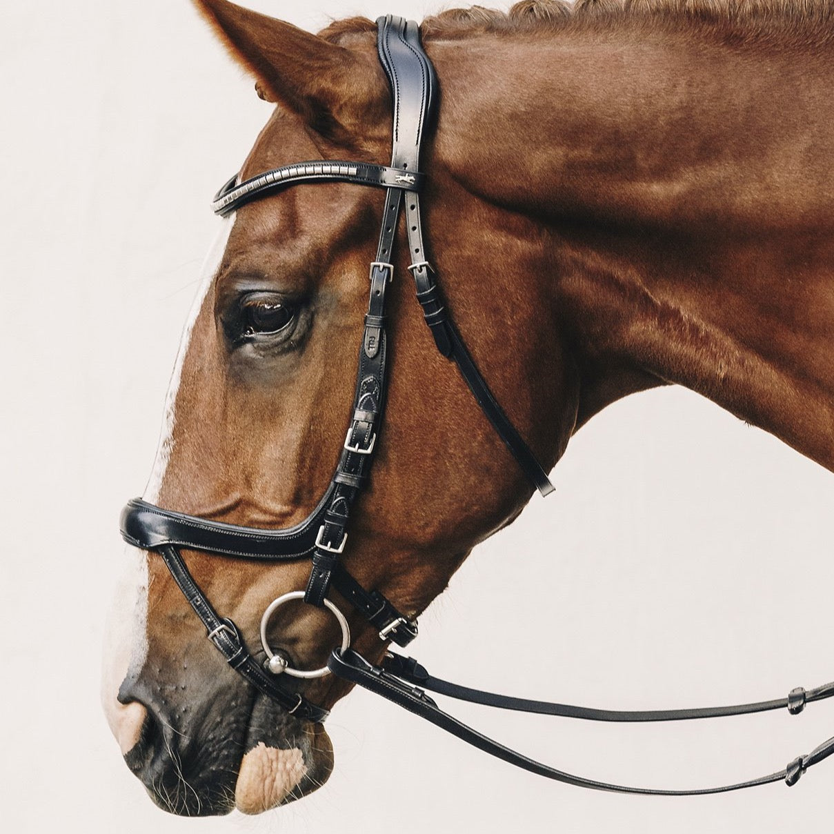 SCHOCKEMÖHLE SPORTS ANATOMIC BRIDLE - EQUITUS OMEGA