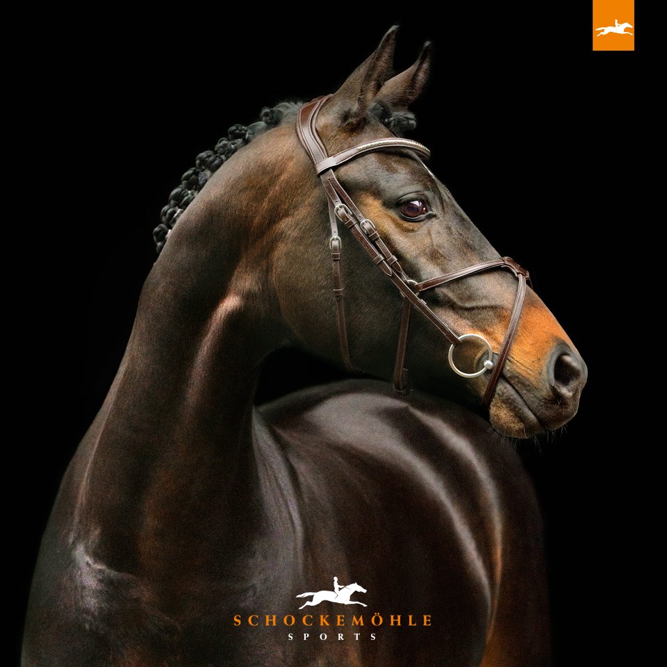SCHOCKEMÖHLE SPORTS ANATOMIC BRIDLE - RIO SELECT