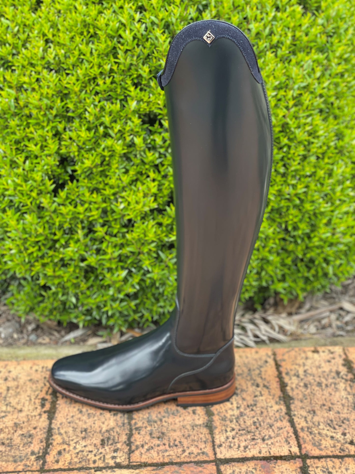 DENIRO BELLINI DRESSAGE TALL BOOT - CUSTOM BLUE