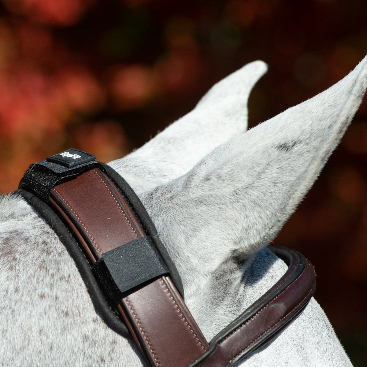 EquiFit ImpacTeq™ CrownPad™