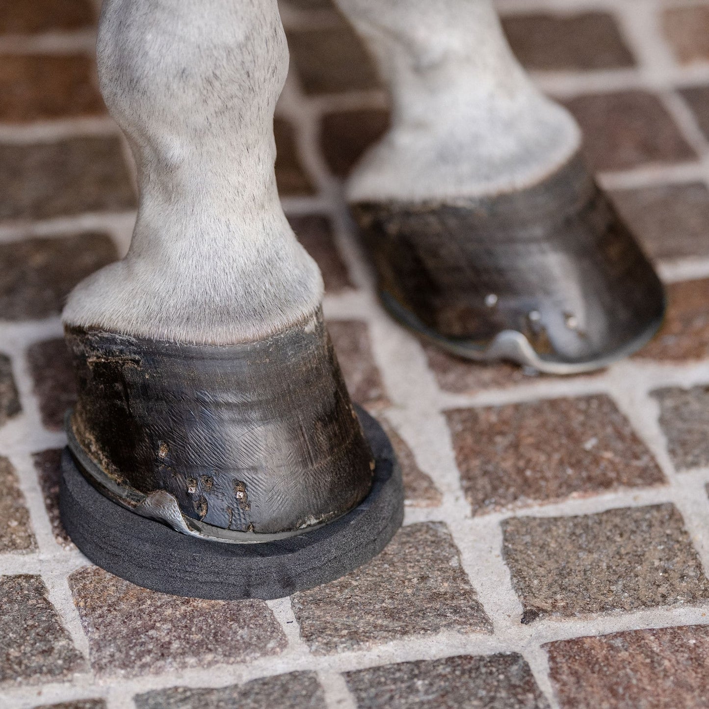 EquiFit HoofSavers™