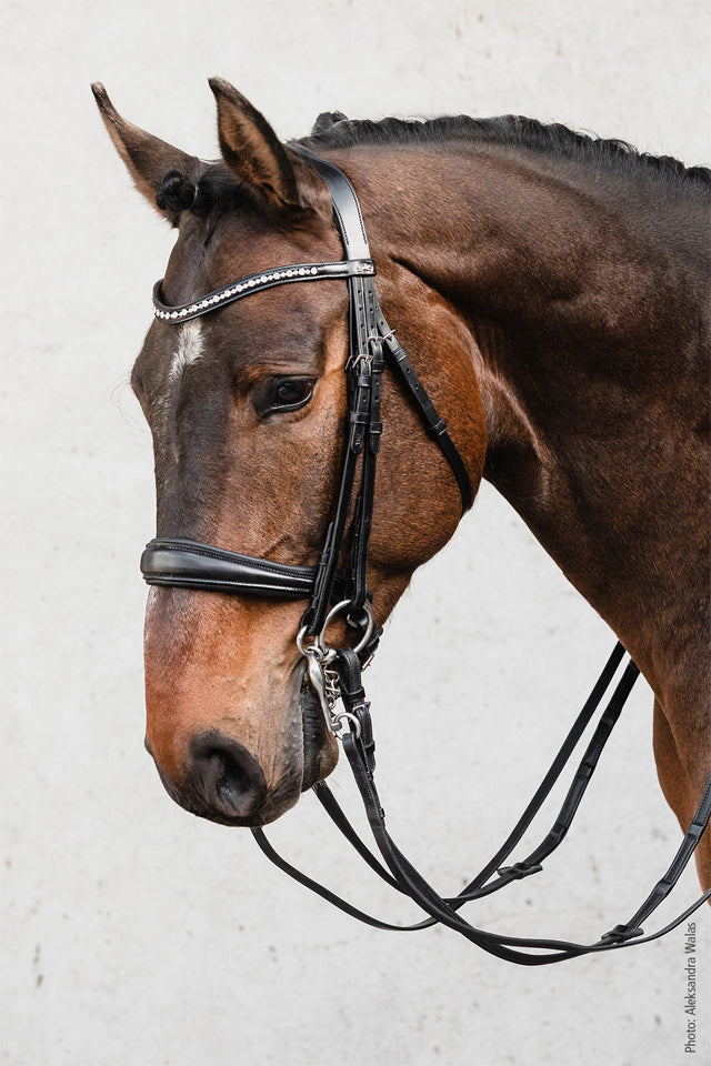 SCHOCKEMÖHLE SPORTS ANATOMIC DOUBLE BRIDLE - MILTON