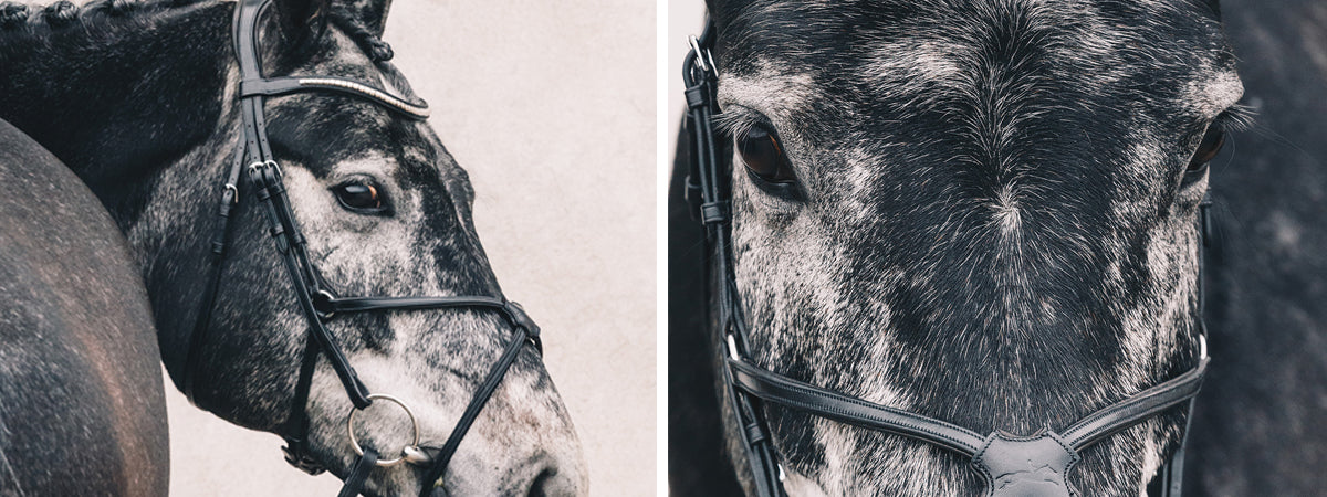 The right choice bridle for a spirited pony