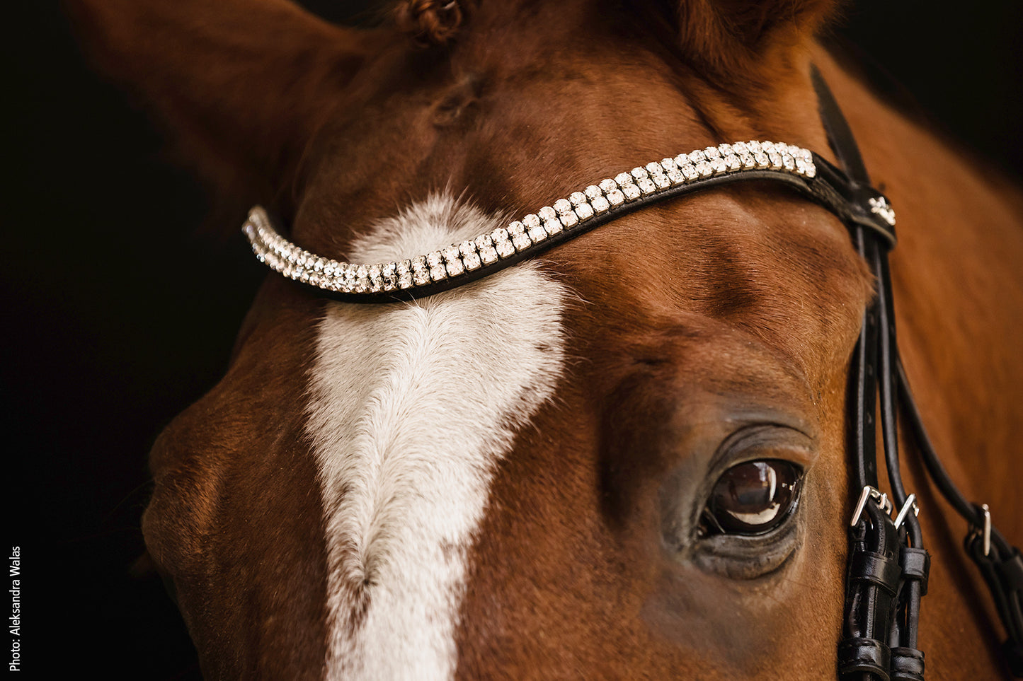 SCHOCKEMOHLE SPORTS SP ISABELL WERTH BRIDLE - JOHNNY