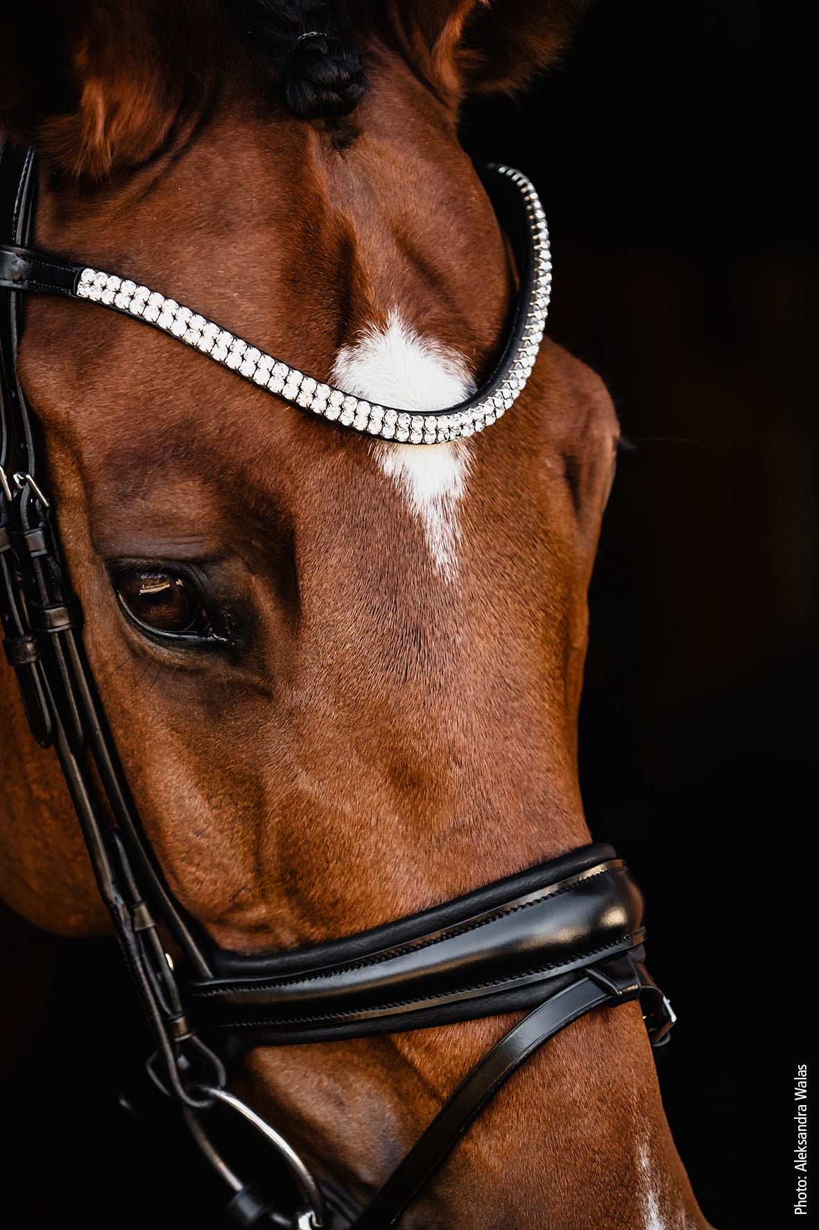 SCHOCKEMOHLE SPORTS SP ISABELL WERTH BRIDLE - JOHNNY