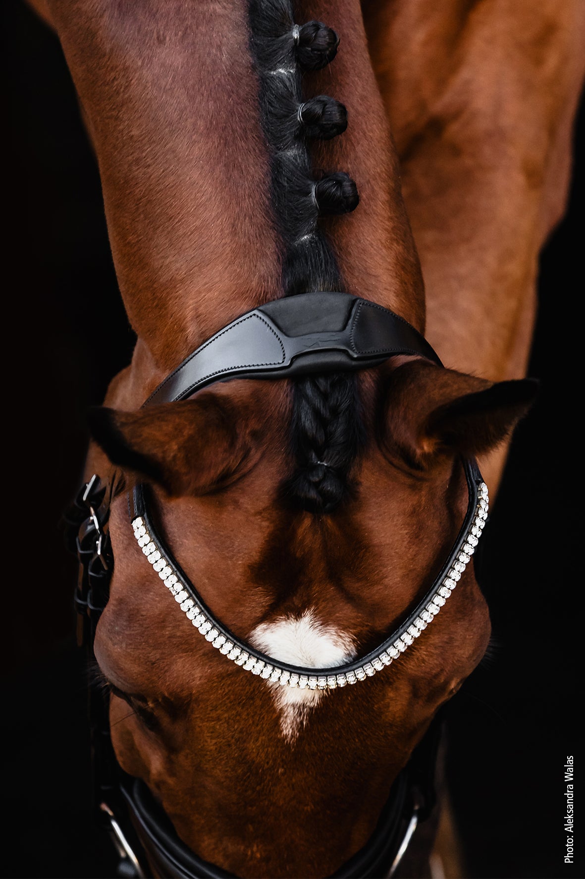SCHOCKEMOHLE SPORTS SP ISABELL WERTH BRIDLE - JOHNNY