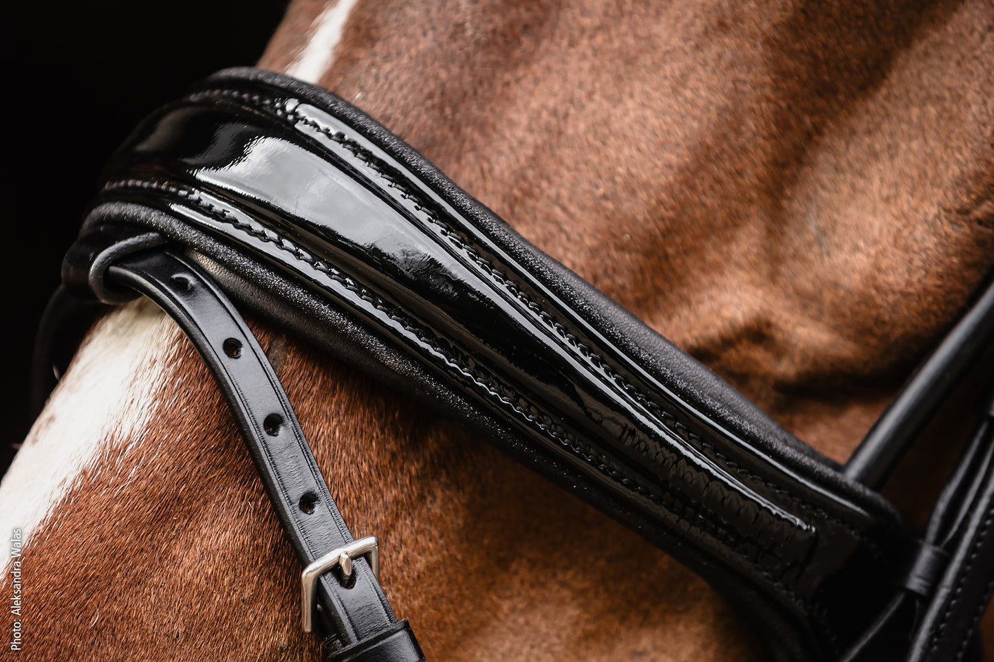 SCHOCKEMOHLE SPORTS SP ISABELL WERTH BRIDLE - SATCHMO