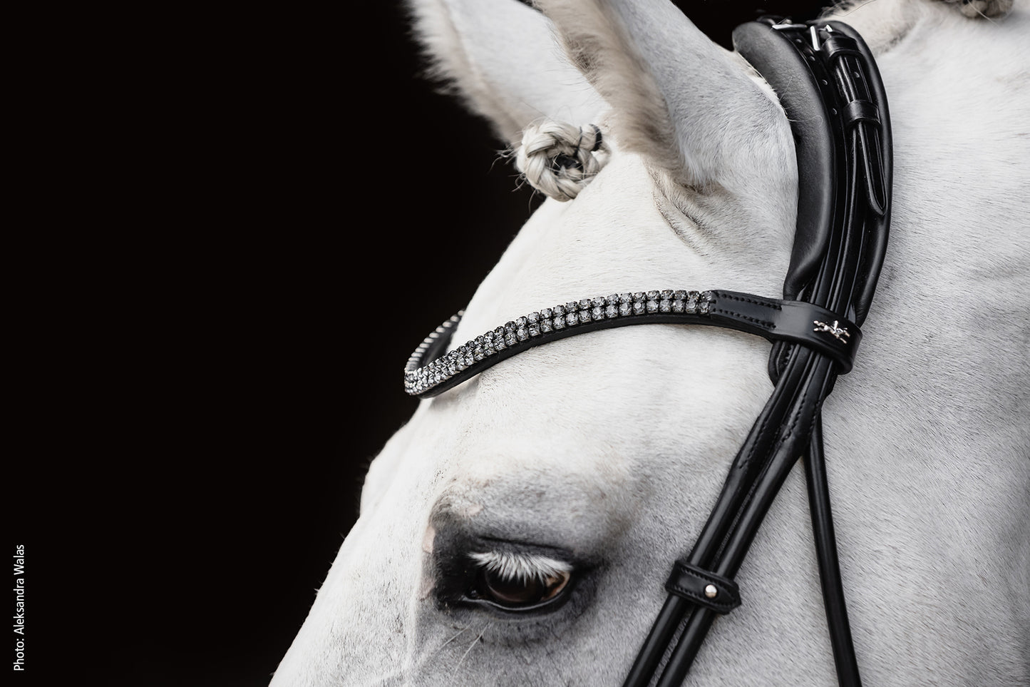 SCHOCKEMOHLE SPORTS SP ISABELL WERTH BRIDLE - SATCHMO