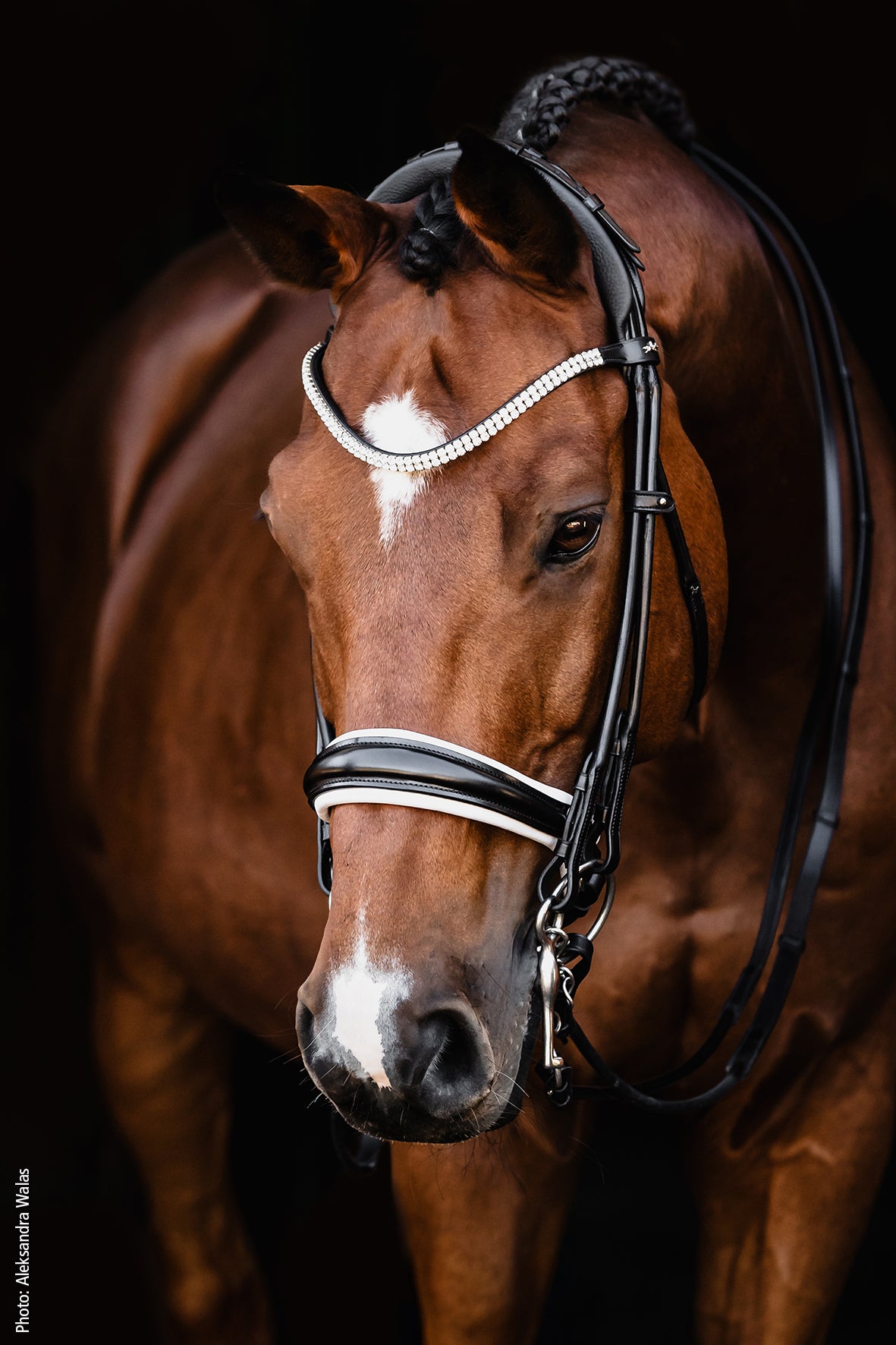 SCHOCKEMOHLE SPORTS SP ISABELL WERTH BRIDLE - BELLA ROSE