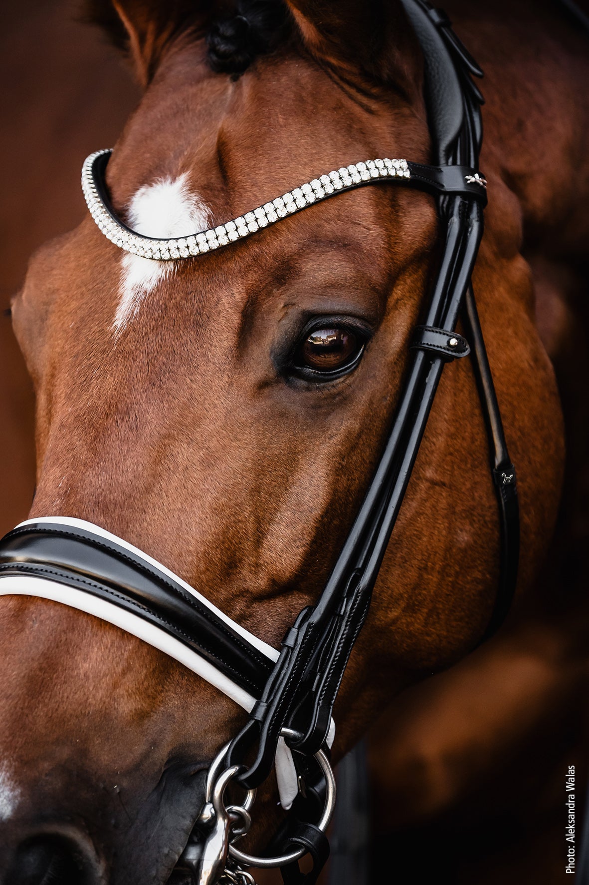 SCHOCKEMOHLE SPORTS SP ISABELL WERTH BRIDLE - BELLA ROSE