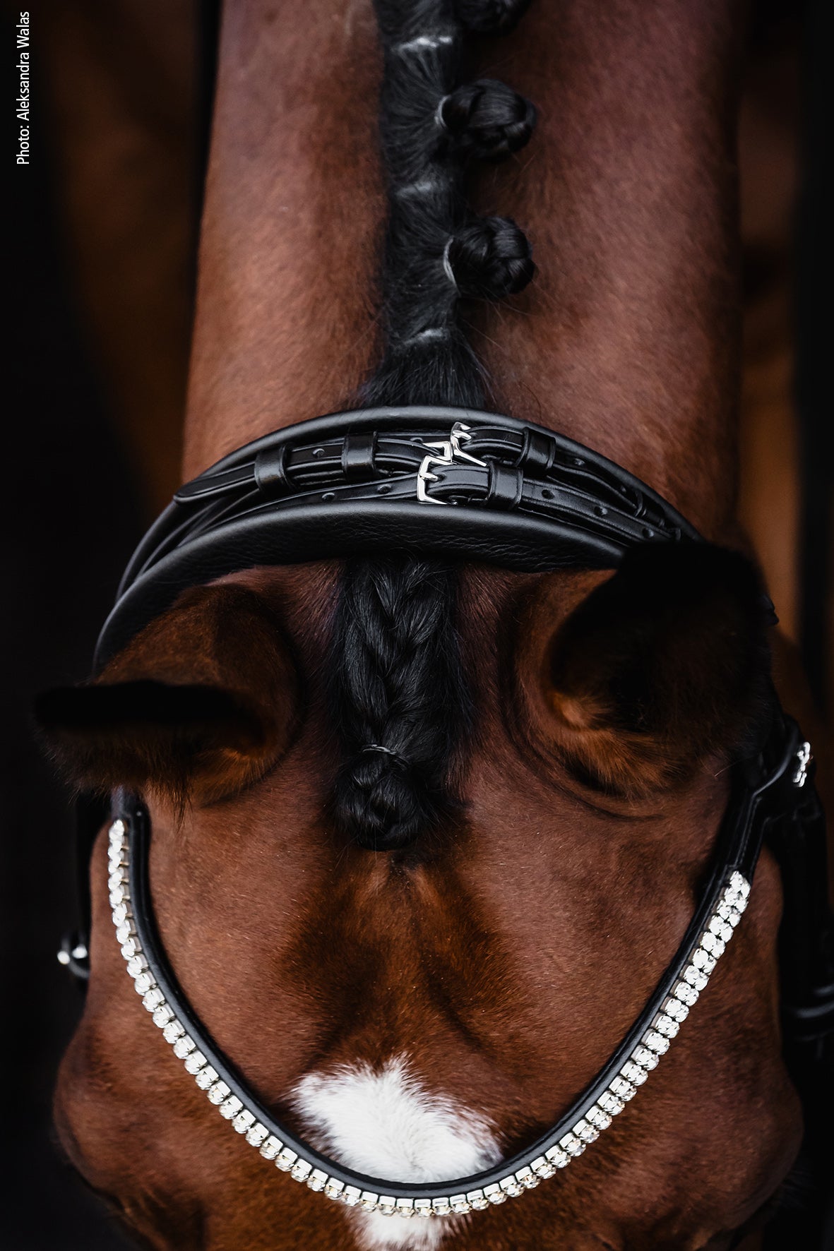 SCHOCKEMOHLE SPORTS SP ISABELL WERTH BRIDLE - BELLA ROSE