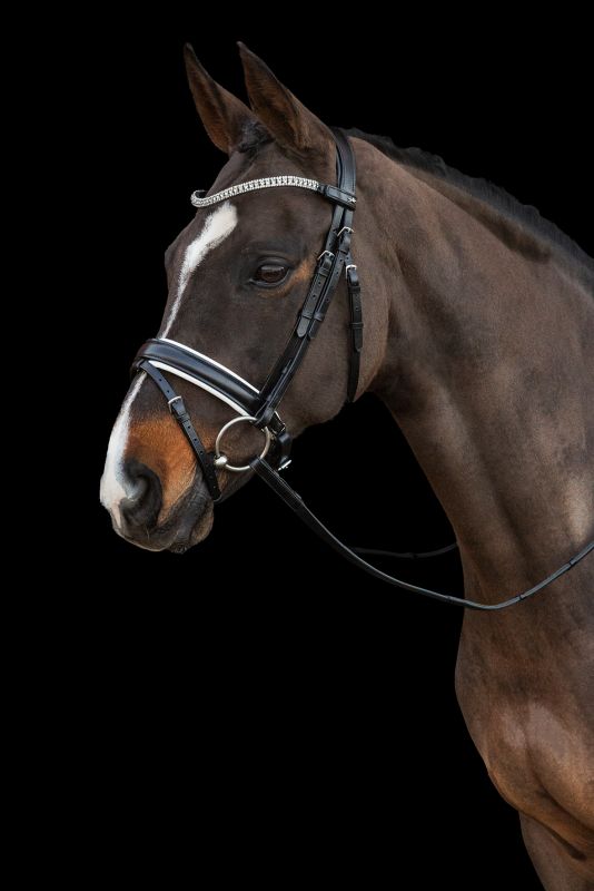 SCHOCKEMÖHLE SPORTS CRYSTAL BROWBAND - MALAGA