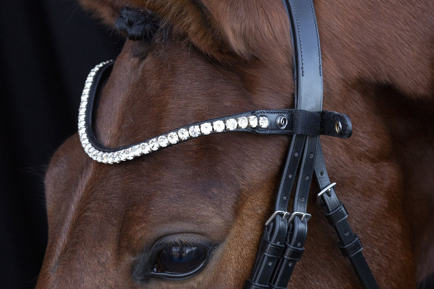 SCHOCKEMÖHLE SPORTS ANATOMIC BRIDLE - SIENA