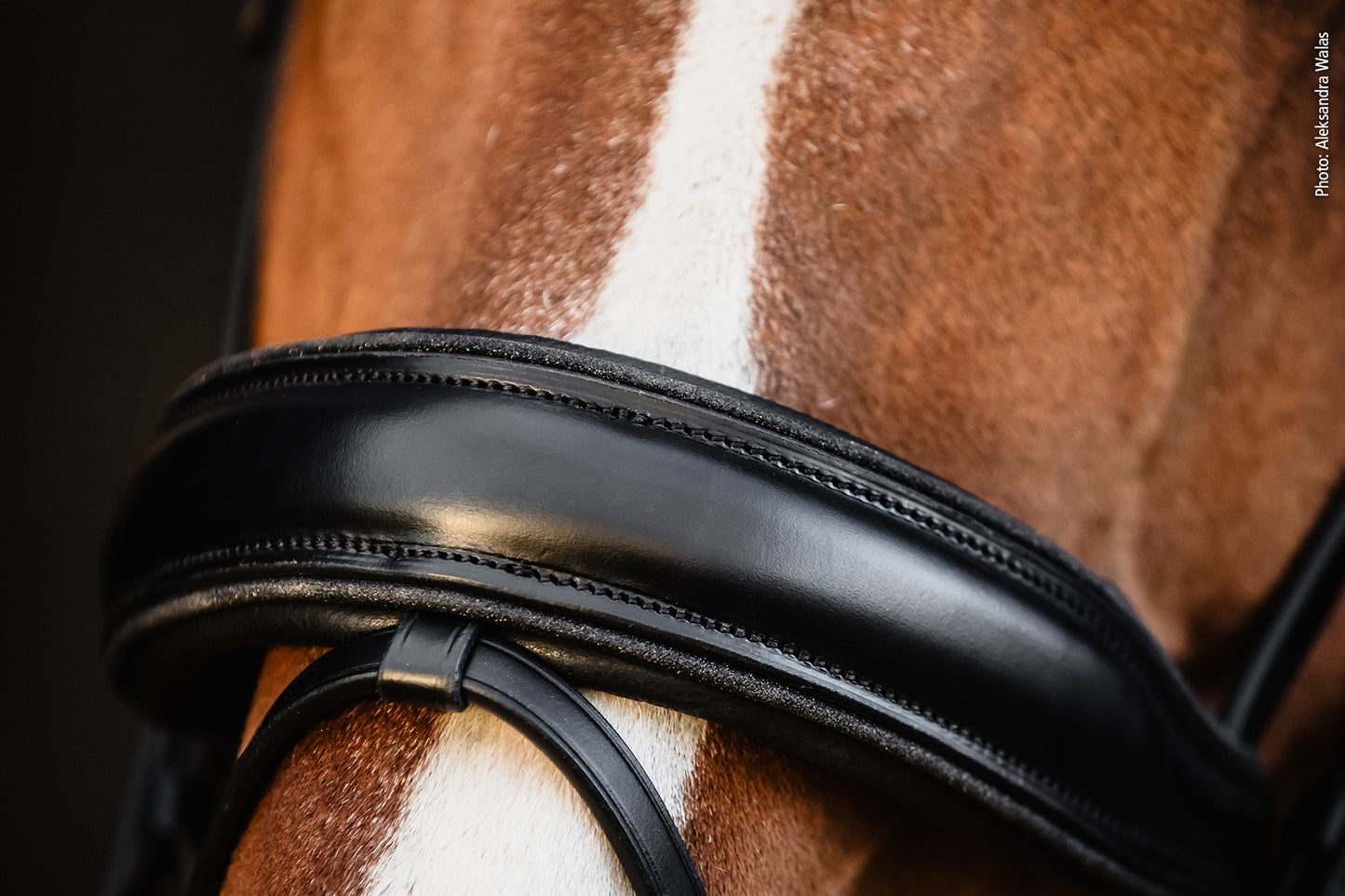 SCHOCKEMOHLE SPORTS ANATOMIC BRIDLE - VALENCIA