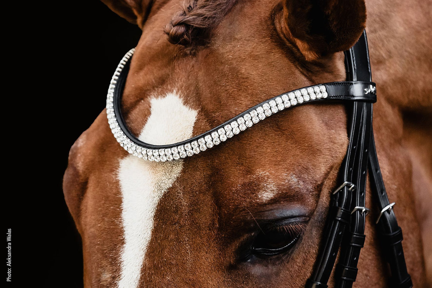 SCHOCKEMÖHLE SPORTS BROWBAND - VALENCIA