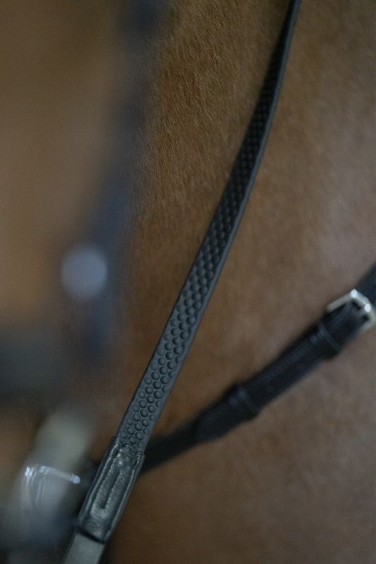 RUBBER REINS