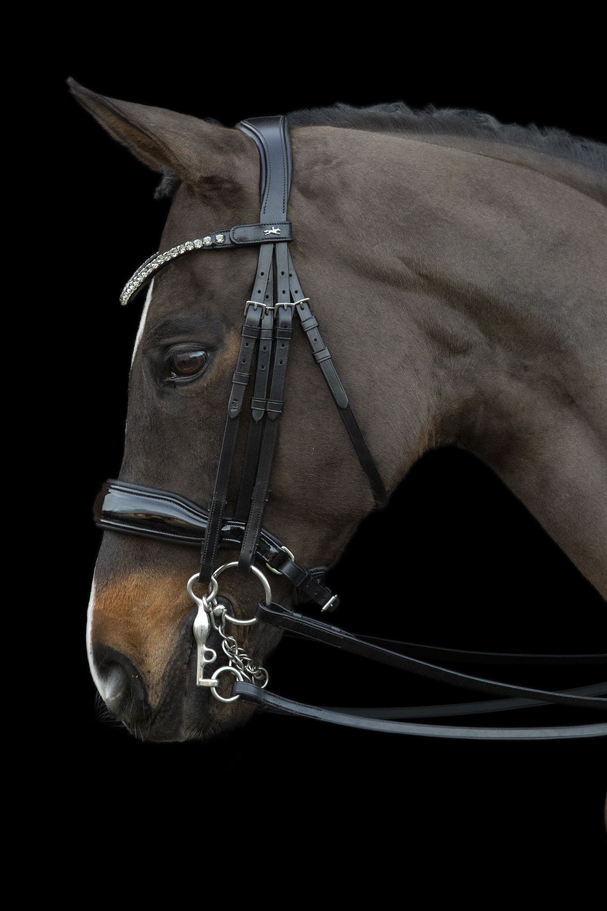 SCHOCKEMÖHLE SPORTS ANATOMIC DOUBLE BRIDLE - MILAZZO
