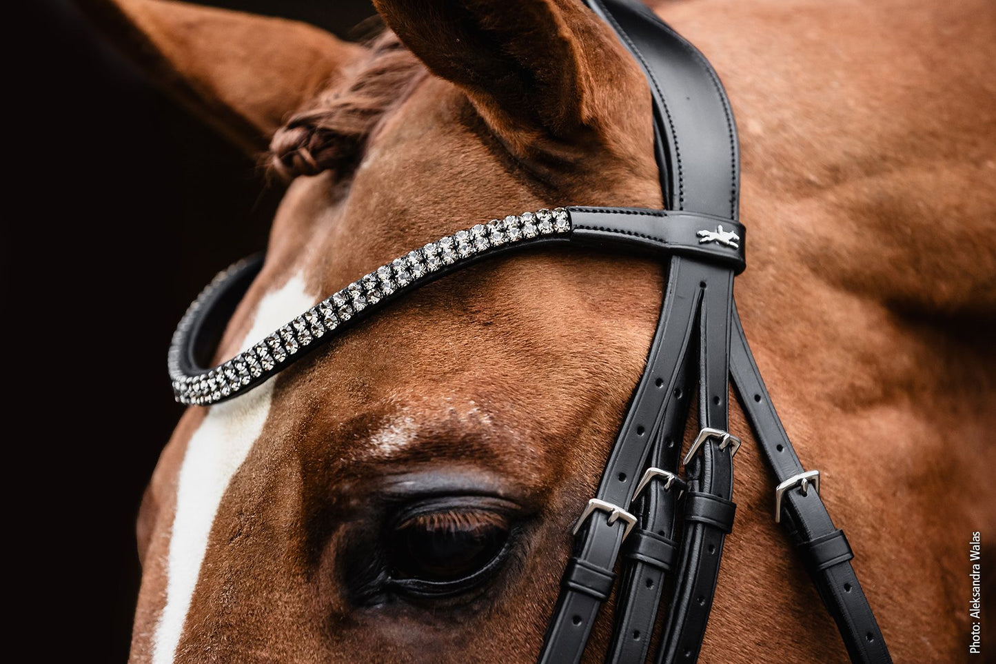 SCHOCKEMÖHLE SPORTS BROWBAND - VALENCIA