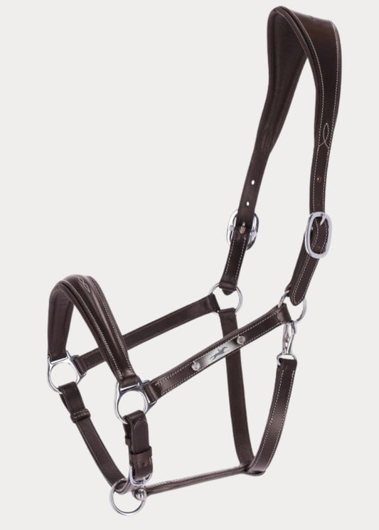 SCHOCKEMÖHLE SPORTS LEATHER HALTER – FRISCO F