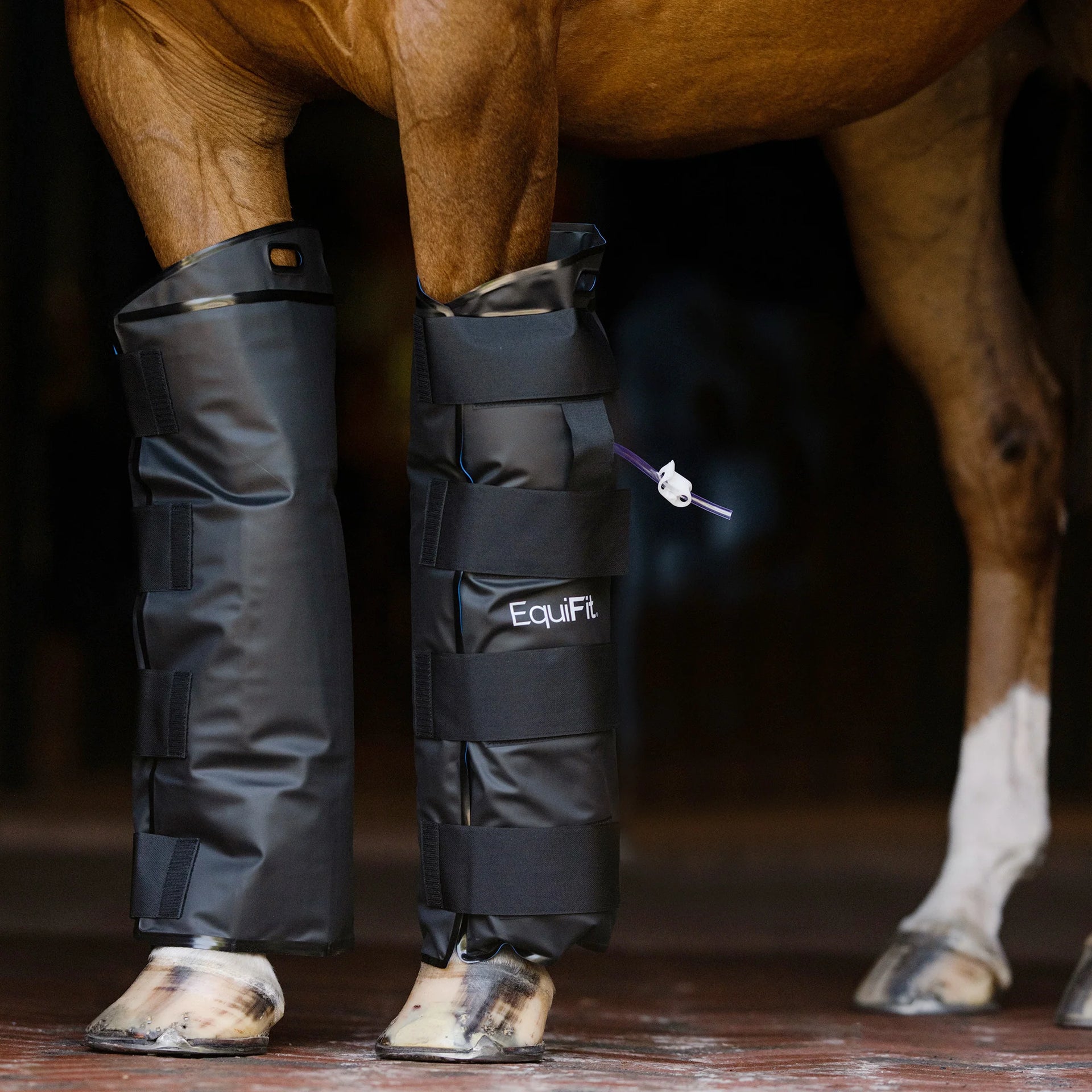 Equifit gel compression boots hotsell