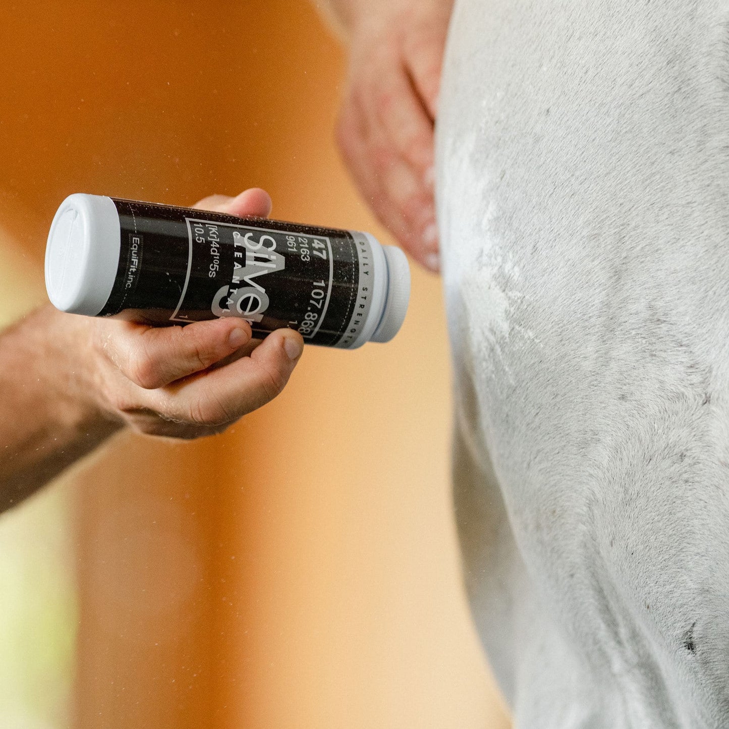 EQUIFIT AGSILVER CLEAN-TALC