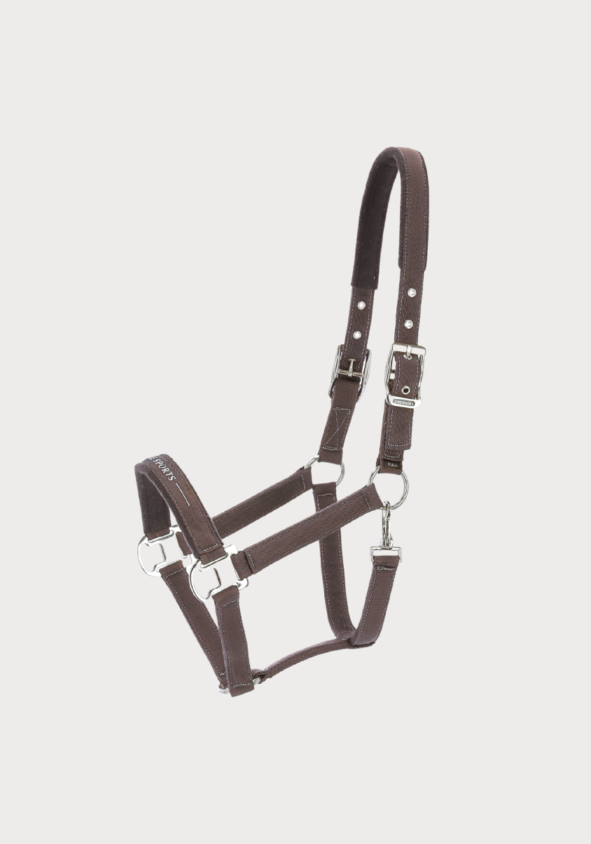 SCHOCKEMOHLE SPORTS HALTER MEMPHIS STYLE