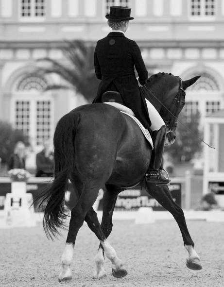 Chaballo Equestrian Gear Fashion
