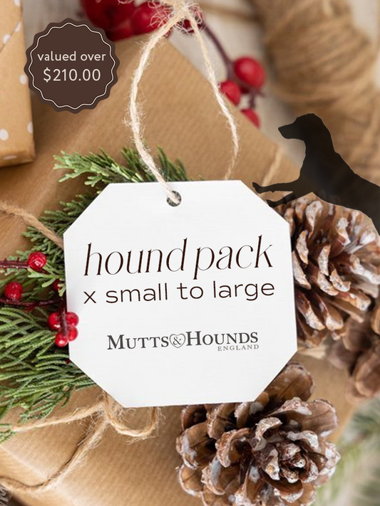 CHRISTMAS MYSTERY HOUND PACK