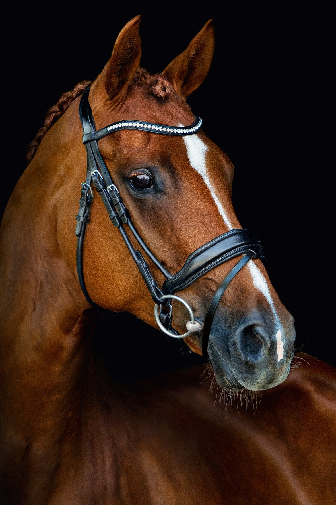 SCHOCKEMÖHLE SPORTS ANATOMIC BRIDLE - MALIBU