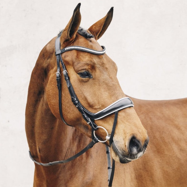 SCHOCKEMÖHLE SPORTS ANATOMIC BRIDLE - EQUITUS BETA