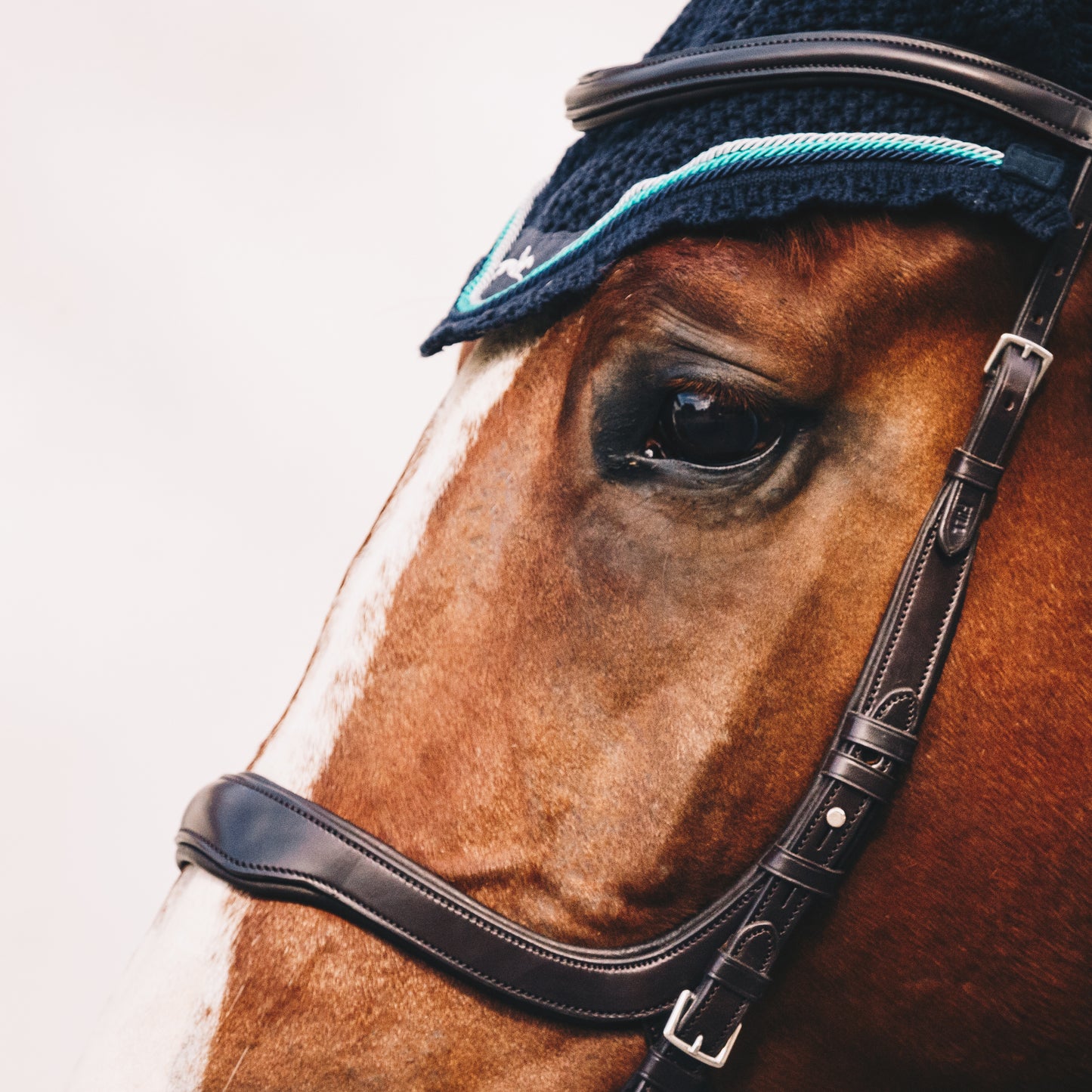 SCHOCKEMÖHLE SPORTS ANATOMIC BRIDLE - EQUITUS DELTA